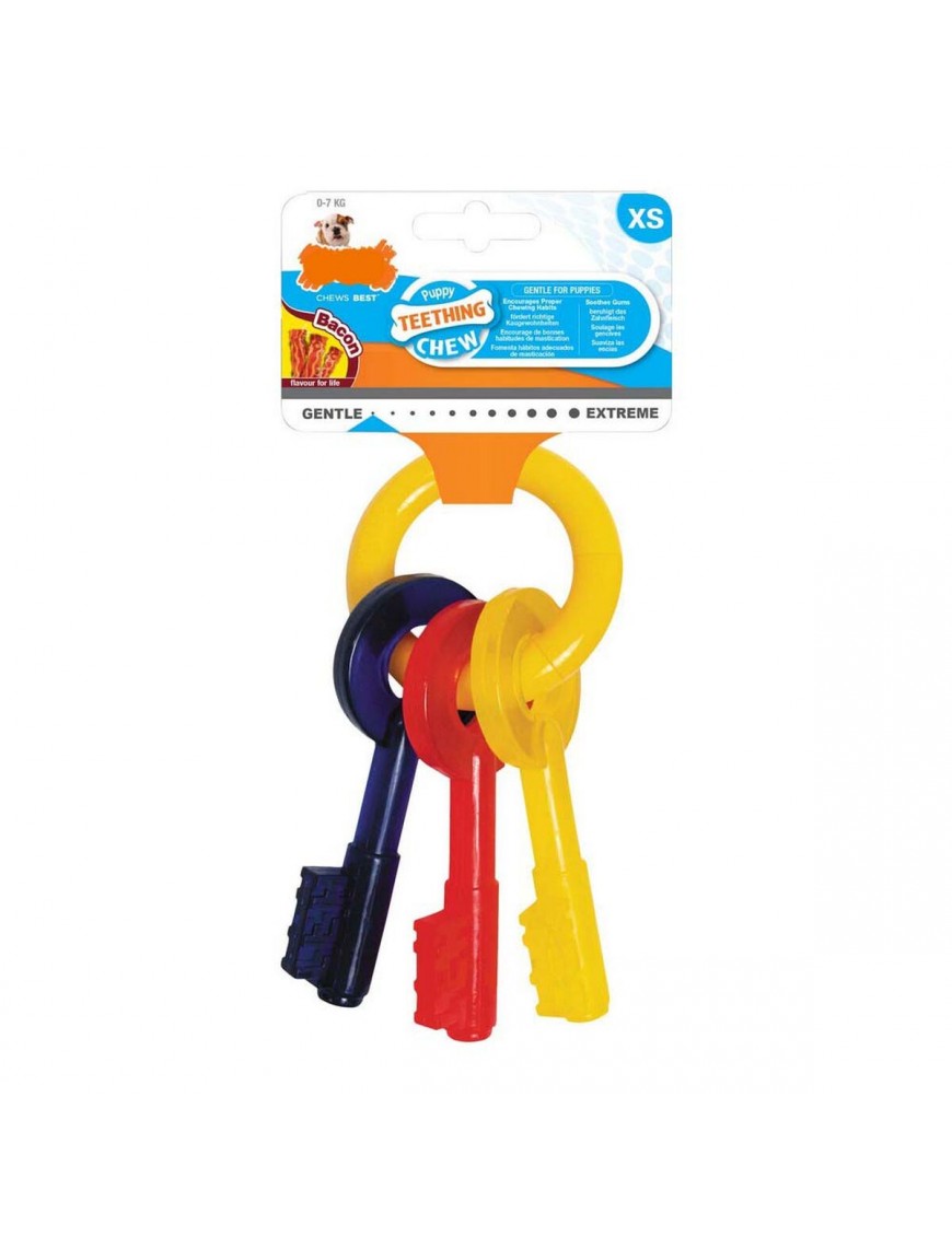 NYLABONE PUPPY TEETHING CHEW - SUPER RESISTENTE