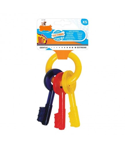 NYLABONE PUPPY TEETHING CHEW - SUPER RESISTENTE