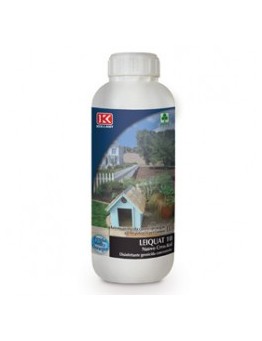 KOLLANT DISINFETTANTE GERMICIDA CONCENTRATO 1 LT